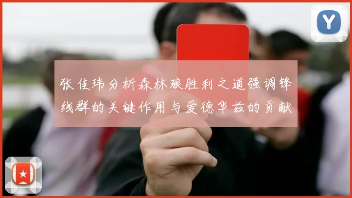 张佳玮分析森林狼胜利之道强调锋线群的关键作用与爱德华兹的贡献